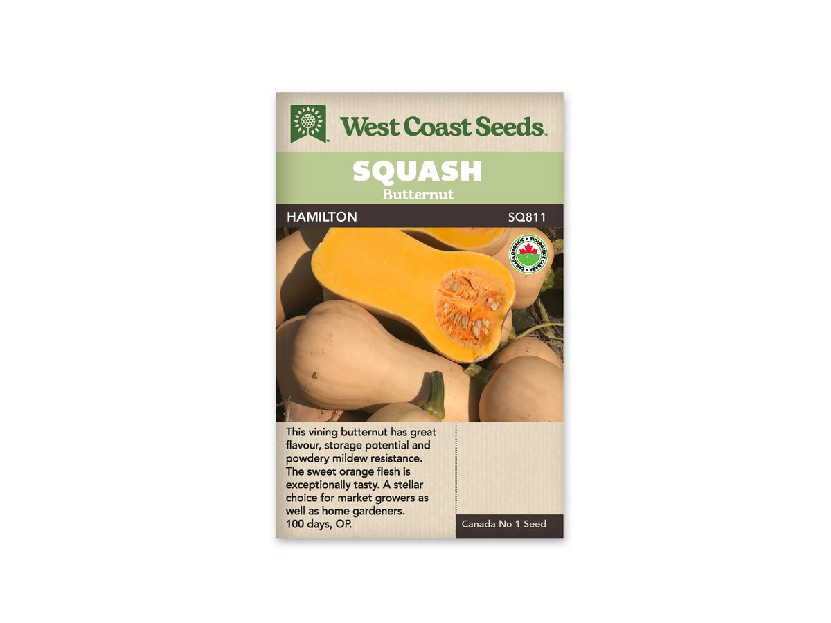 Sachet beige de semences Hamilton avec bandeau vert pâle, nom sur fond brun et mention biologique. La photo présente plusieurs courges butternut beiges, entières et coupées. Une grande moitié montre une chair orange vif et des graines regroupées dans la partie renflée. Des pédoncules verts et de la terre apparaissent entre les fruits.