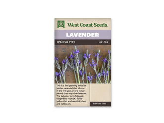 Sachet de lavande Spanish Eyes West Coast Seeds présenté de face sur fond blanc. La photographie montre des épis bleus à violets au bout de longues tiges fines et ramifiées, avec un feuillage gris-vert découpé plus bas. Le bandeau mauve porte le mot LAVENDER. SPANISH EYES figure sur la bande foncée, au-dessus du texte anglais.