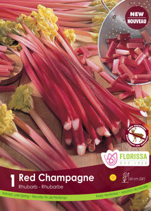 Rhubarbe ‘Red Champagne’ ( Rheum ) : des tiges de rhubarbe rouges, entières et coupées. Le visuel Florissa présente la plante et son nom dans la partie inférieure de l’étiquette. La photographie occupe presque toute la surface, tandis que le bandeau du bas rassemble les indications du produit. Cette vue permet de reconnaître son apparence et de distinguer la variété présentée.