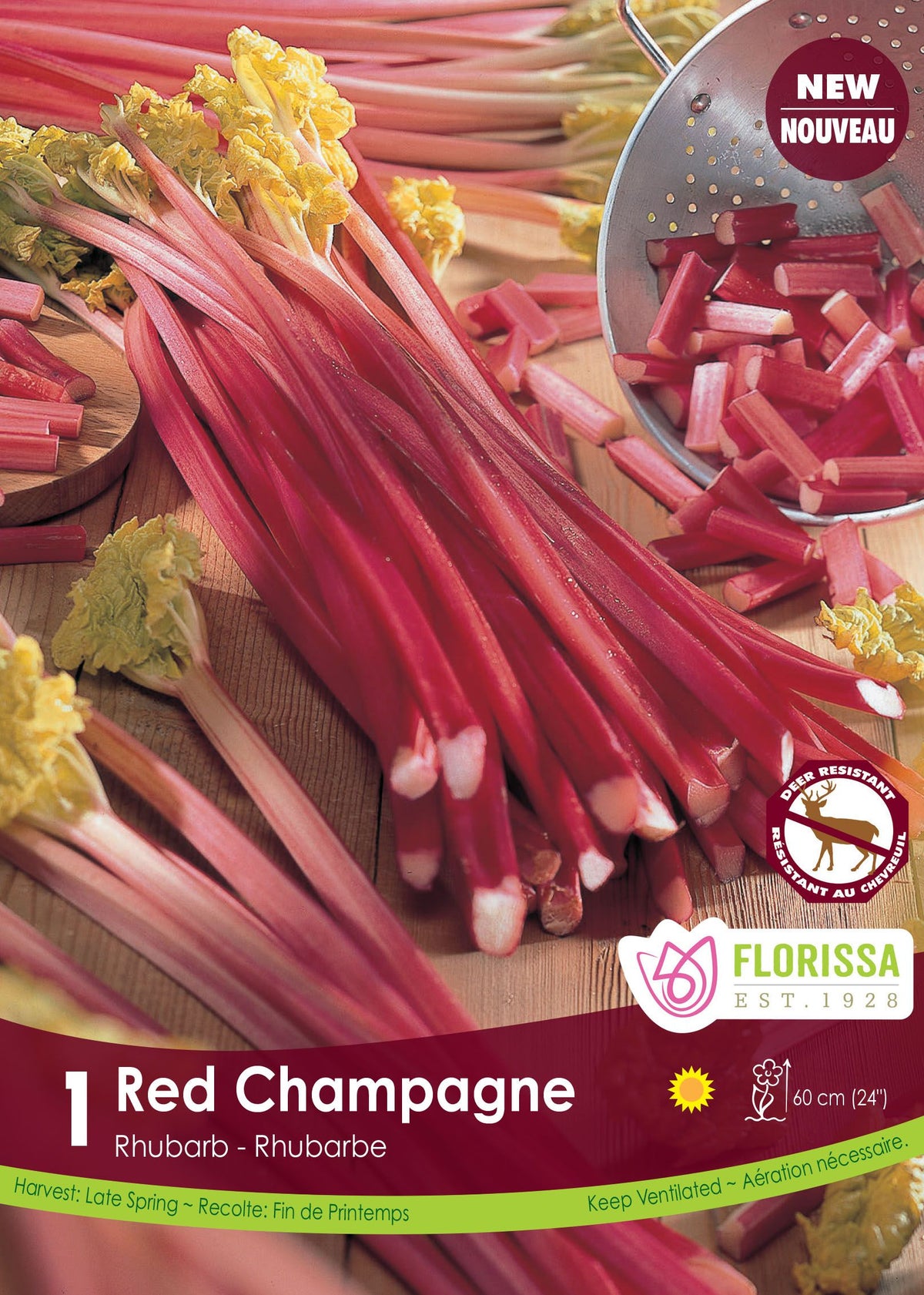 Rhubarbe ‘Red Champagne’ ( Rheum ) : des tiges de rhubarbe rouges, entières et coupées. Le visuel Florissa présente la plante et son nom dans la partie inférieure de l’étiquette. La photographie occupe presque toute la surface, tandis que le bandeau du bas rassemble les indications du produit. Cette vue permet de reconnaître son apparence et de distinguer la variété présentée.