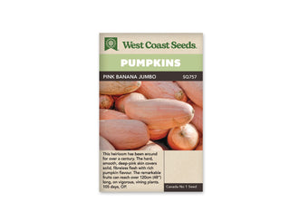 Sachet beige de semences Pink Banana Jumbo avec bandeau vert pâle et nom sur fond brun. La photographie montre un tas de grosses courges allongées rose saumon. Plusieurs fruits se chevauchent, certains présentant des traces et des nuances plus claires sur la peau. Une courge entière occupe horizontalement le centre de l'image, au-dessus du texte anglais.