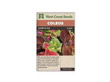 Sachet Rainbow Mix de West Coast Seeds sur fond blanc. La photo présente des feuilles dentées aux tons verts, jaunes, rouges, roses et bordeaux. Certaines ont un centre vivement coloré et une bordure verte; d’autres sont presque unies. Le bandeau orangé indique Coleus; Rainbow Mix et la référence FL4042 se lisent dans la bande brune.