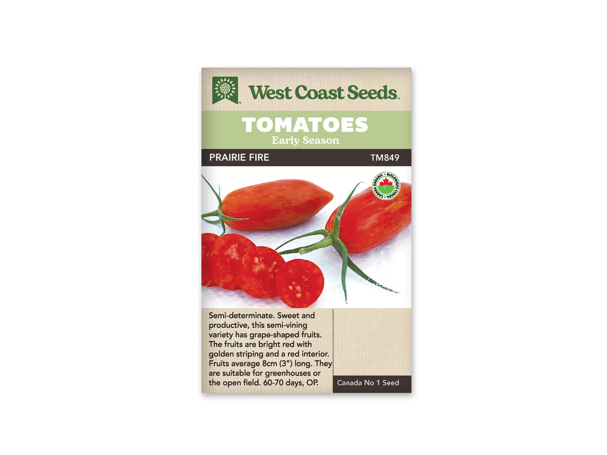 Sachet West Coast Seeds avec les mentions Tomatoes, Early Season et Prairie Fire. La photo montre des tomates rouges allongées, à fines marques jaunes, sur un fond clair. Un fruit est coupé et laisse voir sa chair rouge. Des tiges et calices verts sont présents. Le logo biologique rond apparaît à droite de l’image.