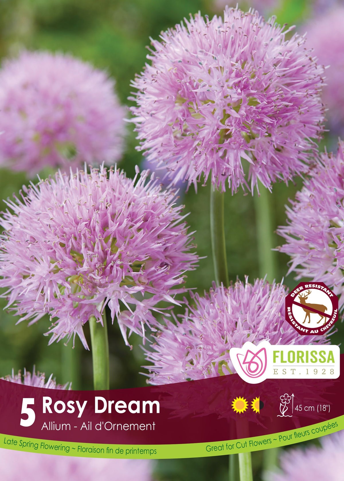 Ail ornemental ‘Rosy Dream’ ( Allium carolinianum ) : des boules d’alliums rose lilas sur leurs tiges. Le visuel Florissa présente la plante et son nom dans la partie inférieure de l’étiquette. La photographie occupe presque toute la surface, tandis que le bandeau du bas rassemble les indications du produit. Cette vue permet de reconnaître son apparence et de distinguer la variété présentée.