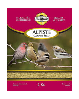 Graines d’alpiste pour oiseaux Picardie – 2 kg — photo sur fond blanc