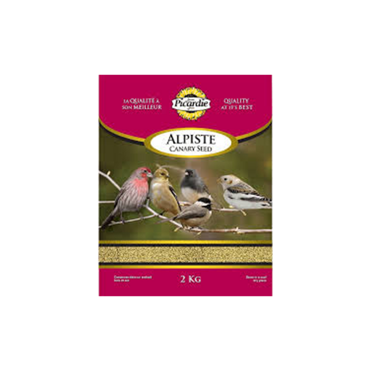 Graines d’alpiste pour oiseaux Picardie – 2 kg