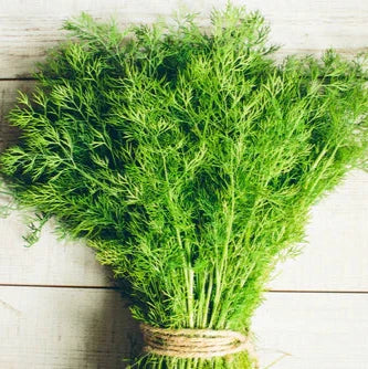 Visuel principal associé à Aneth 'Bouquet', semences offertes par Cutleaf Seed. Cette image accompagne la fiche pour relier clairement le produit à son emballage ou à la culture présentée. Elle complète les renseignements de semis, de culture et de récolte, sans remplacer les indications propres au lot ni les conseils détaillés figurant sur le sachet.