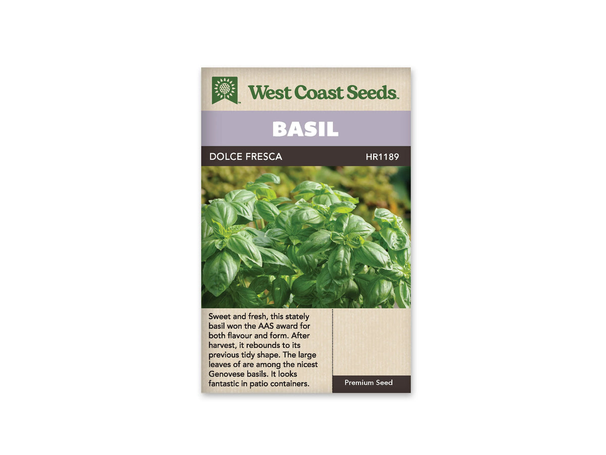 Sachet West Coast Seeds de Basilic ‘Dolce Fresca’, présenté de face sur fond blanc. La photographie centrale présente un massif dense de feuilles vertes, lisses et légèrement bombées. Les jeunes extrémités se dressent au-dessus du feuillage plus large, sans fleurs visibles. Un bandeau mauve indique BASIL, au-dessus du nom imprimé sur fond foncé. Le bas beige contient un texte descriptif en anglais.
