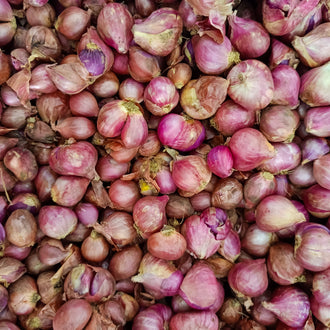 Photographie de Échalote française (Allium cepa var. aggregatum ‘Rose’), sélection proposée en semences W.H. Perron. Le visuel présente l’apparence de la plante ou de sa récolte et permet d’en observer les formes et les couleurs. Cette vue illustre les caractéristiques visibles de la sélection, dans une présentation destinée à accompagner son identification et à montrer son intérêt au jardin.