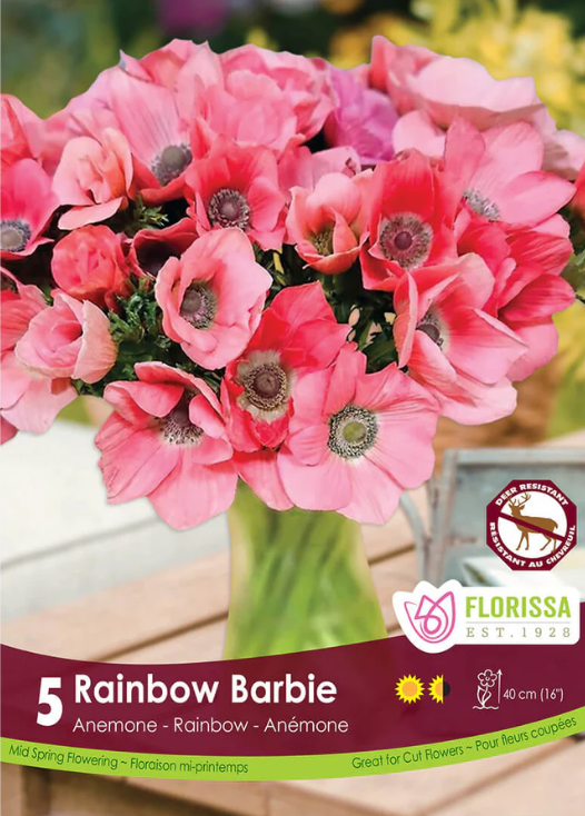 Anémone ‘Rainbow Barbie’ ( Anemone coronaria ) : des anémones roses à cœur sombre présentées en bouquet. Le visuel Florissa présente la plante et son nom dans la partie inférieure de l’étiquette. La photographie occupe presque toute la surface, tandis que le bandeau du bas rassemble les indications du produit. Cette vue permet de reconnaître son apparence et de distinguer la variété présentée.