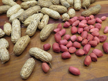Peanut 'Valencia'