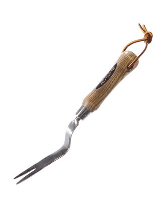 Arrache-pissenlit traditionnel en acier inoxydable — photo sur fond blanc