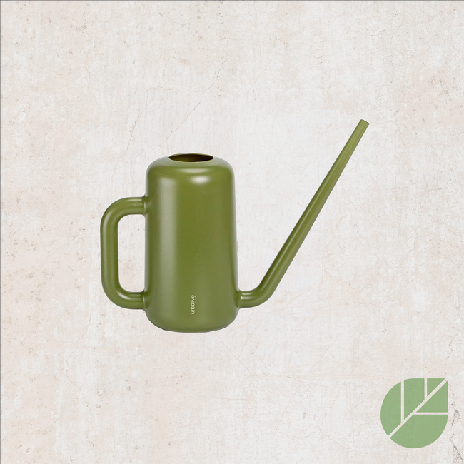 Arrosoir design en à bec long pour plantes d’intérieur