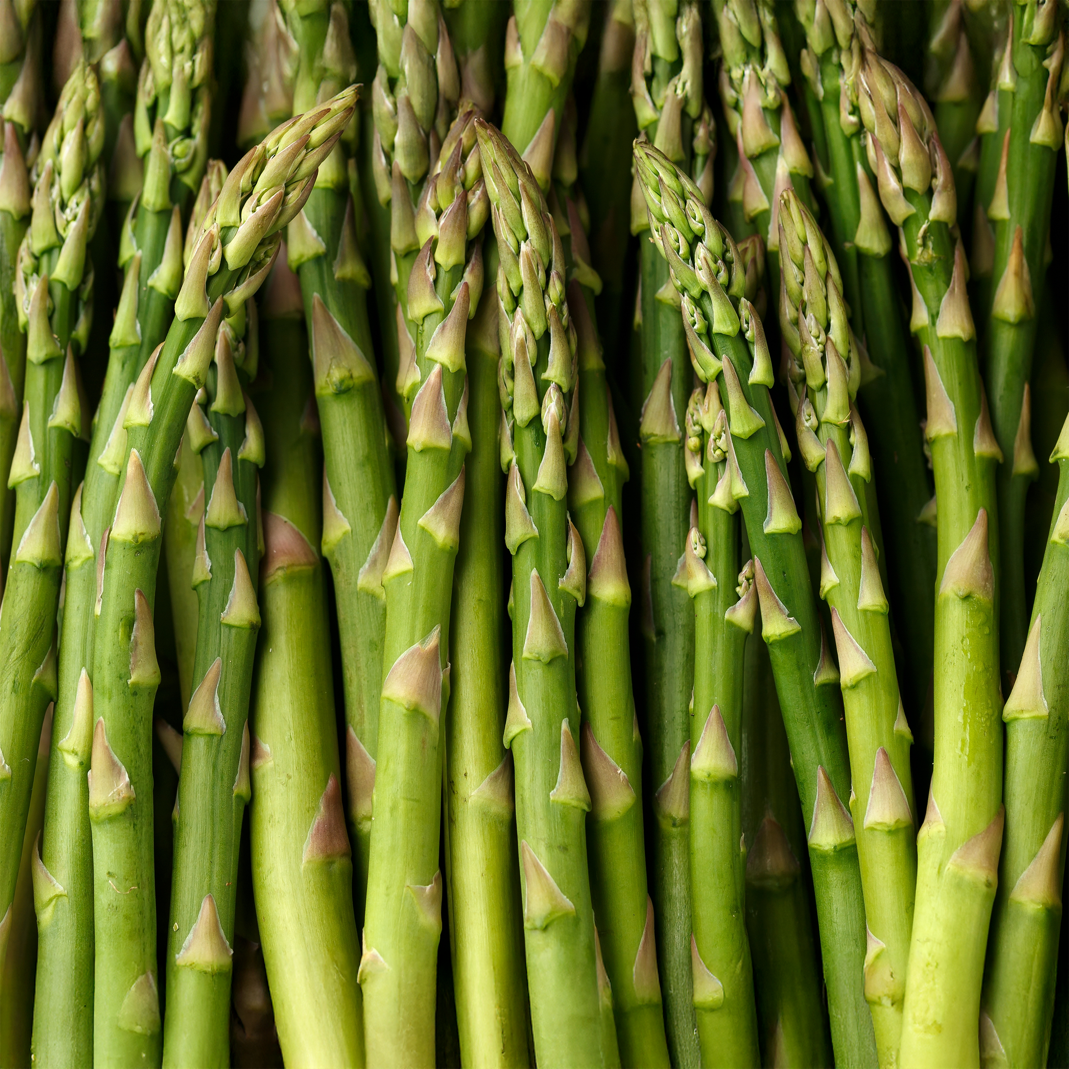 Asparagus