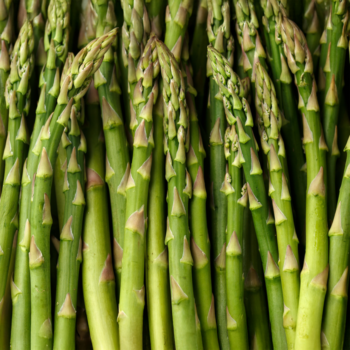 Asperge