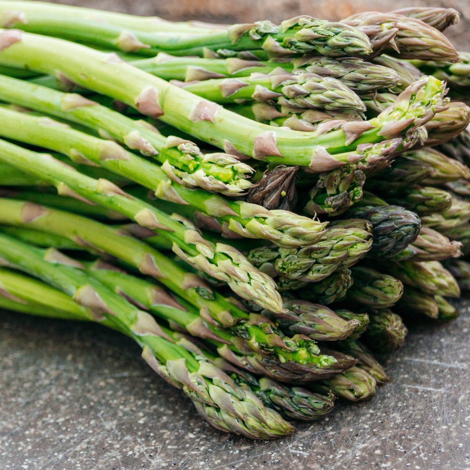 Asperge 'Guelph Millenium'