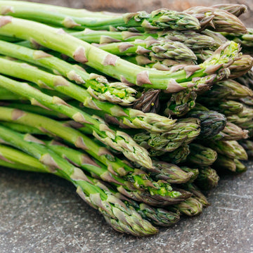 Asperge 'Guelph Millenium'