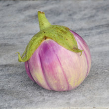 Aubergine 'Rosa Bianca'