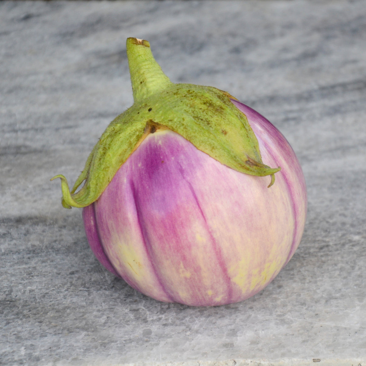 Aubergine 'Rosa Bianca'