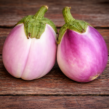 Eggplant 'Bianca Sfumata Di Rosa'