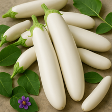 Eggplant Gretel