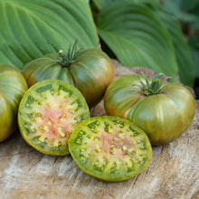 Tomato German Green  'Aunt Ruby'