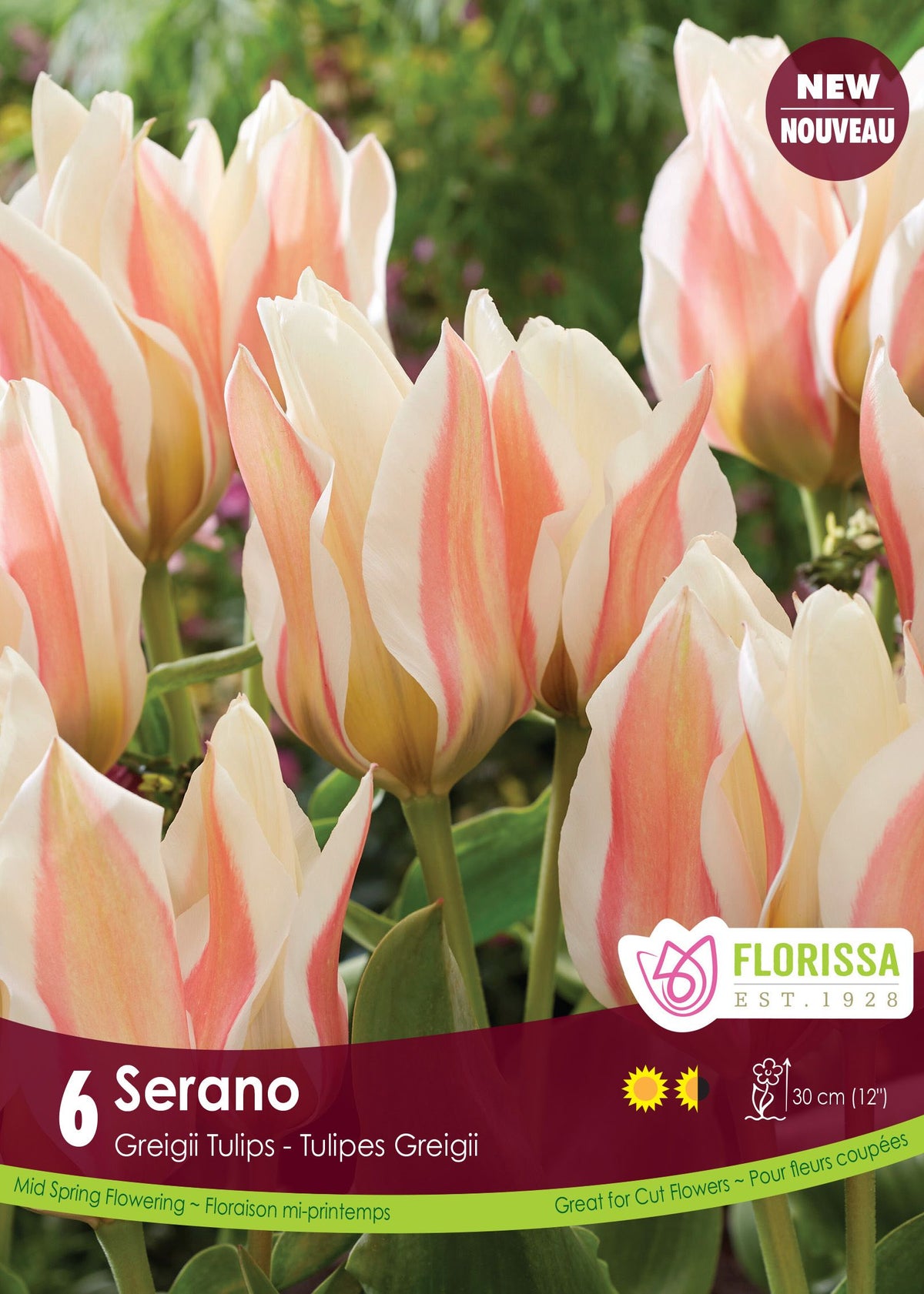 Serano Tulip