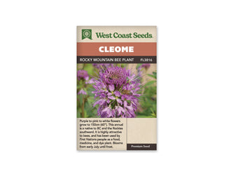 Sachet Rocky Mountain Bee Plant de West Coast Seeds sur fond blanc. La photo montre une grappe de petites fleurs rose violet, avec de longues étamines et des boutons serrés au sommet. Une abeille est visible sur les fleurs, devant un fond vert flou. Le bandeau indique Cleome et la référence FL3816 figure près du nom.