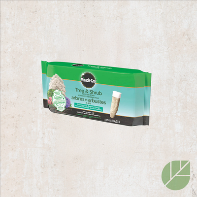Bâtonnets d’engrais Miracle-Gro® 15-5-10 pour arbres et arbustes