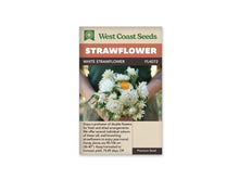 Le sachet West Coast Seeds montre des mains tenant un bouquet d'immortelles blanches. Les capitules doubles présentent des bractées crème disposées en rangées autour du centre; un disque jaune apparaît sur une fleur ouverte. Le feuillage vert accompagne les tiges et un vêtement sombre forme l'arrière-plan. Le bandeau indique White et la référence FL4072.