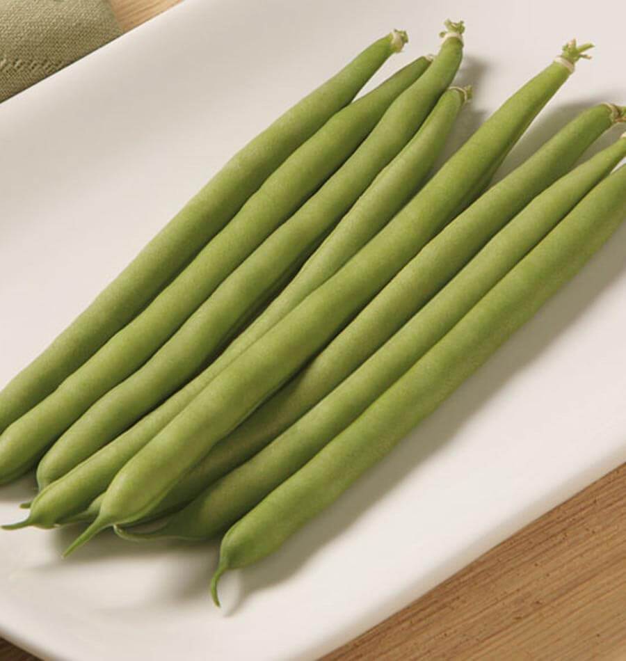 Photographie de gousses de haricot ‘Jade’ disposées côte à côte sur une assiette blanche rectangulaire. Les haricots verts sont longs, assez droits et orientés en diagonale, avec leurs extrémités fines visibles au bas de l’image. Quelques pédoncules restent attachés. Une surface de bois brun et un coin de tissu vert apparaissent autour de l’assiette, dans un cadrage rapproché de la récolte.