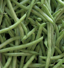 Photographie rapprochée de gousses vertes de haricot ‘Kentucky Blue’ superposées dans plusieurs directions. Les haricots remplissent tout le cadre, avec des surfaces lisses, des pointes fines et de petites extrémités brunes. Quelques gousses présentent une courbure légère ou une ligne longitudinale plus marquée. Les zones d’ombre entre les haricots créent des nuances de vert plus foncé, sans contenant visible.