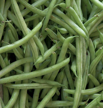 Photographie rapprochée de gousses vertes de haricot ‘Kentucky Blue’ superposées dans plusieurs directions. Les haricots remplissent tout le cadre, avec des surfaces lisses, des pointes fines et de petites extrémités brunes. Quelques gousses présentent une courbure légère ou une ligne longitudinale plus marquée. Les zones d’ombre entre les haricots créent des nuances de vert plus foncé, sans contenant visible.