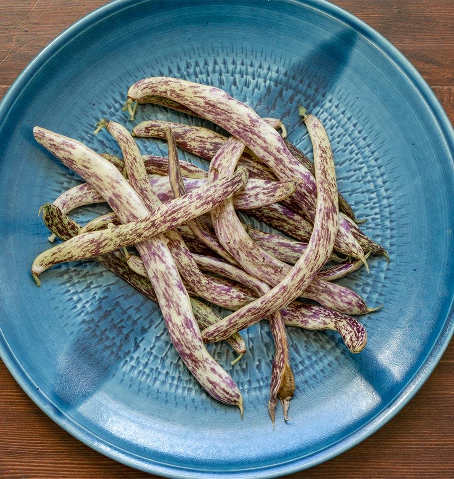 Photographie de gousses de haricot ‘Dragon Tongue’ regroupées dans une grande assiette bleue texturée. Les haricots aplatis présentent un fond jaune crème couvert de stries et de taches pourpres irrégulières. Plusieurs gousses se courbent et se croisent au centre du plat. Une table de bois brun reste visible autour de l’assiette, dont la couleur contraste avec les motifs de la récolte.