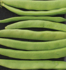 Gros plan sur des gousses vertes de haricot ‘Campo di Fiori’ disposées presque horizontalement sur une surface sombre tissée. Les haricots sont larges et aplatis, avec des contours légèrement courbés et quelques reliefs visibles le long de la paroi. Le cadrage coupe certaines extrémités et met surtout en évidence la largeur des gousses et le contraste entre le vert et le fond noir.