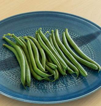 Photographie de gousses vertes de haricot ‘Seychelles’ disposées dans une grande assiette bleue texturée. Les haricots sont réunis en bouquet au centre, avec des pédoncules orientés vers le haut et des pointes légèrement recourbées vers le bas. Leurs surfaces lisses présentent des reflets clairs. L’assiette repose sur une table de bois blond, visible autour du bord supérieur et inférieur du plat.