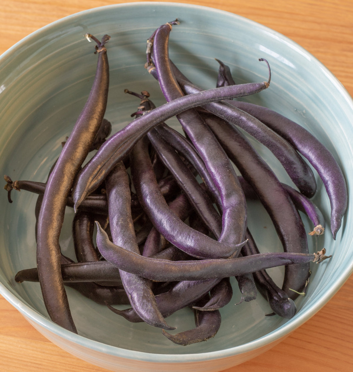 Photographie de haricots pourpre foncé regroupés dans une grande assiette bleu gris. Les gousses légèrement courbées se croisent et se superposent, avec des pointes effilées et de petits pédoncules visibles. Leur surface présente des reflets plus clairs. Le bord circulaire du plat encadre la récolte, tandis qu’une table de bois blond apparaît tout autour de l’assiette.