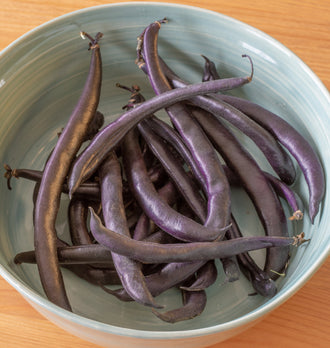 Photographie de haricots pourpre foncé regroupés dans une grande assiette bleu gris. Les gousses légèrement courbées se croisent et se superposent, avec des pointes effilées et de petits pédoncules visibles. Leur surface présente des reflets plus clairs. Le bord circulaire du plat encadre la récolte, tandis qu’une table de bois blond apparaît tout autour de l’assiette.