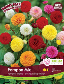 Dahlia pompon ‘Mélange’ ( Dahlia ) : des dahlias en petites boules rouges, jaunes, roses, blanches et orangées. Le visuel Florissa présente la plante et son nom dans la partie inférieure de l’étiquette. La photographie occupe presque toute la surface, tandis que le bandeau du bas rassemble les indications du produit. Cette vue permet de reconnaître son apparence et de distinguer la variété présentée.