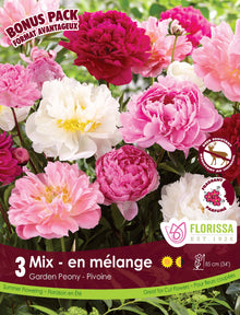 Pivoine ‘Mix’ ( Paeonia ) : des pivoines doubles roses, rouges et blanches. Le visuel Florissa présente la plante et son nom dans la partie inférieure de l’étiquette. La photographie occupe presque toute la surface, tandis que le bandeau du bas rassemble les indications du produit. Cette vue permet de reconnaître son apparence et de distinguer la variété présentée.