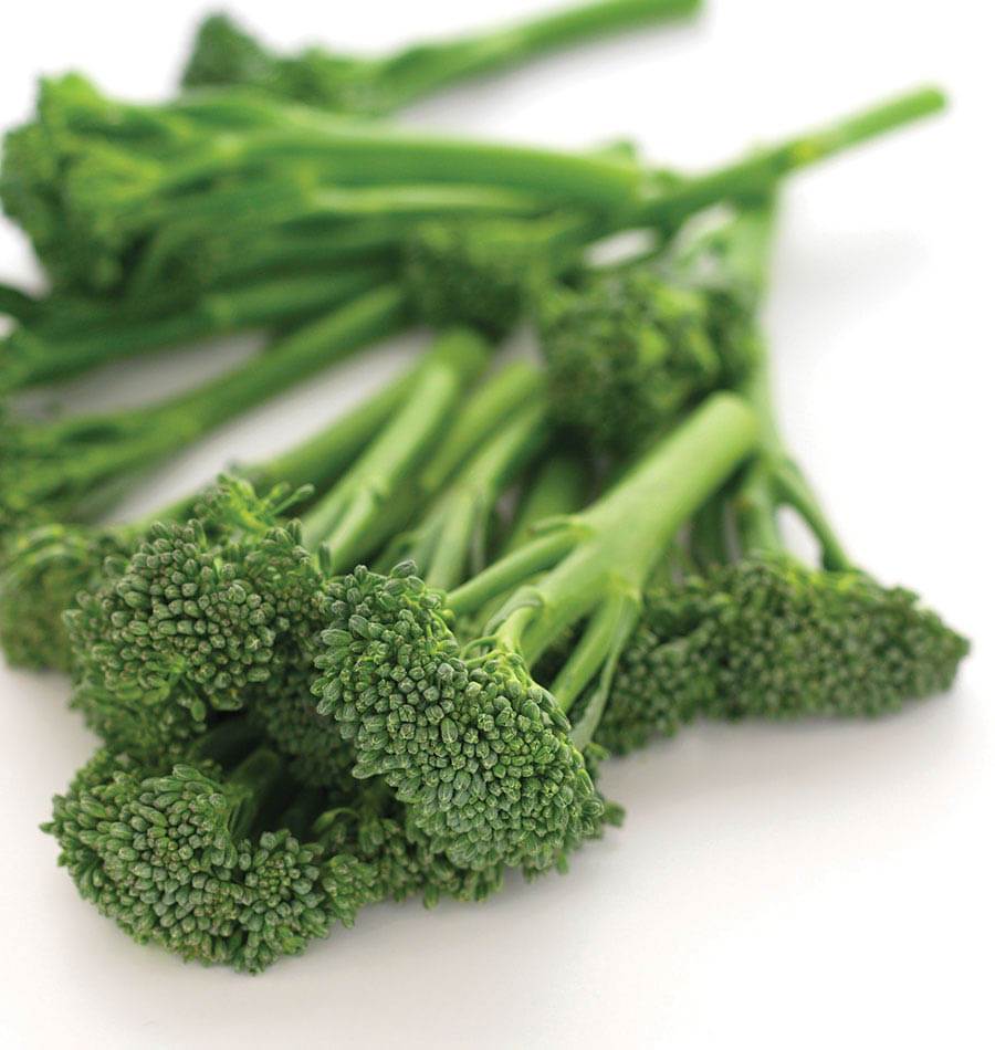 Tiges de brocoli Aspabroc posées en diagonale sur un fond blanc. Les fins bouquets verts portent de nombreux petits boutons fermés. Des tiges lisses, allongées et vert clair se croisent sous les inflorescences. Quelques petites feuilles bordent les pousses. Les bouquets du premier plan sont nets, tandis que les éléments plus éloignés sont légèrement flous.