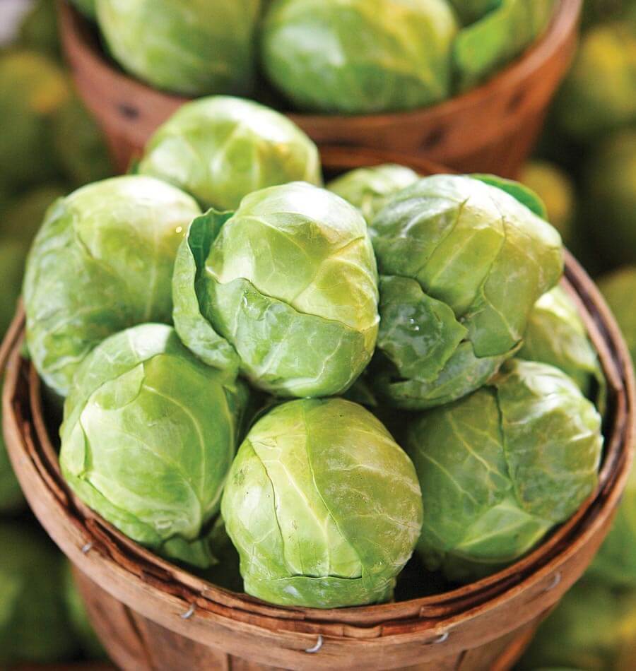 Choux de Bruxelles Gustus entassés dans un petit panier brun. Les bourgeons verts arrondis montrent des feuilles lisses et serrées, marquées de nervures claires. Certains sont légèrement plus allongés que d’autres. Le rebord tressé du panier entoure la récolte au premier plan, tandis qu’un second panier et d’autres choux apparaissent flous derrière.