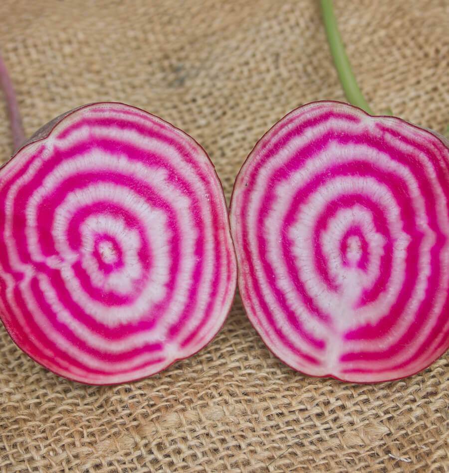Photographie de deux moitiés de betterave ‘Chioggia Guardsmark’ posées sur une toile de jute beige. Les faces coupées révèlent des anneaux concentriques rose vif et blancs, avec une fine bordure de peau rouge sur le pourtour. Les deux morceaux sont placés côte à côte et occupent presque toute l’image. La texture grossière du tissu reste visible autour des racines et entre les deux coupes.