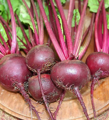 Semences Betterave 'Poanazza d’Egitto' (Beta vulgaris)