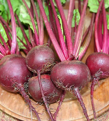 Semences Betterave 'Poanazza d’Egitto' (Beta vulgaris)