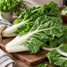 Bette à carde 'Bietola' (Beta vulgaris var. cicla)