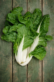 Swiss chard 'Bionda di Lione n°2'