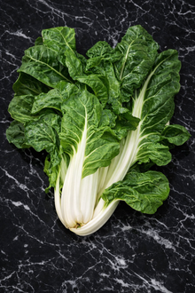 Swiss chard 'Costa barese'