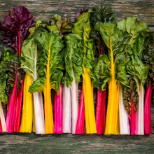 Swiss chard 'Rainbow'