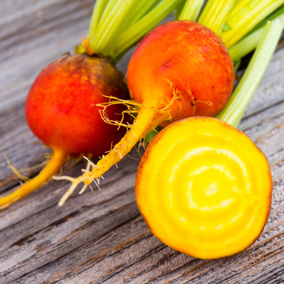 Visuel principal associé à Betterave jaune 'Doré', semences offertes par Cutleaf Seed. Cette image accompagne la fiche pour relier clairement le produit à son emballage ou à la culture présentée. Elle complète les renseignements de semis, de culture et de récolte, sans remplacer les indications propres au lot ni les conseils détaillés figurant sur le sachet.